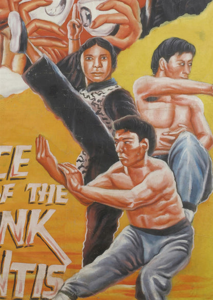 DANCE OF THE DRUNK MANTIS MARTIAL ARTS MOVIE POSTER HAND PAINTED IN GHANA FOR THE WALL ART