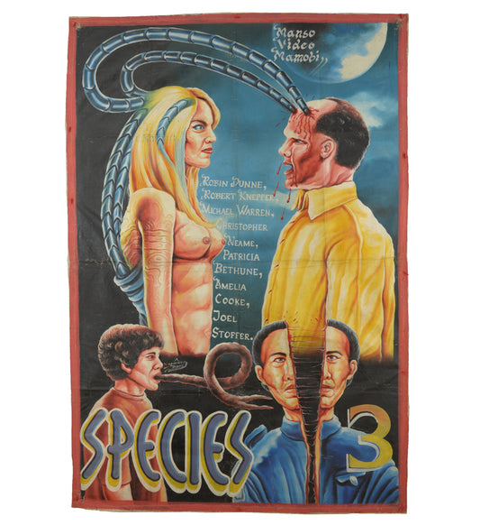 SPECIES 3 HORROR FILM HAND PAINTED MOVIE POSTER FROM GHANA FOR THE LOCAL CINEMA WALL ART